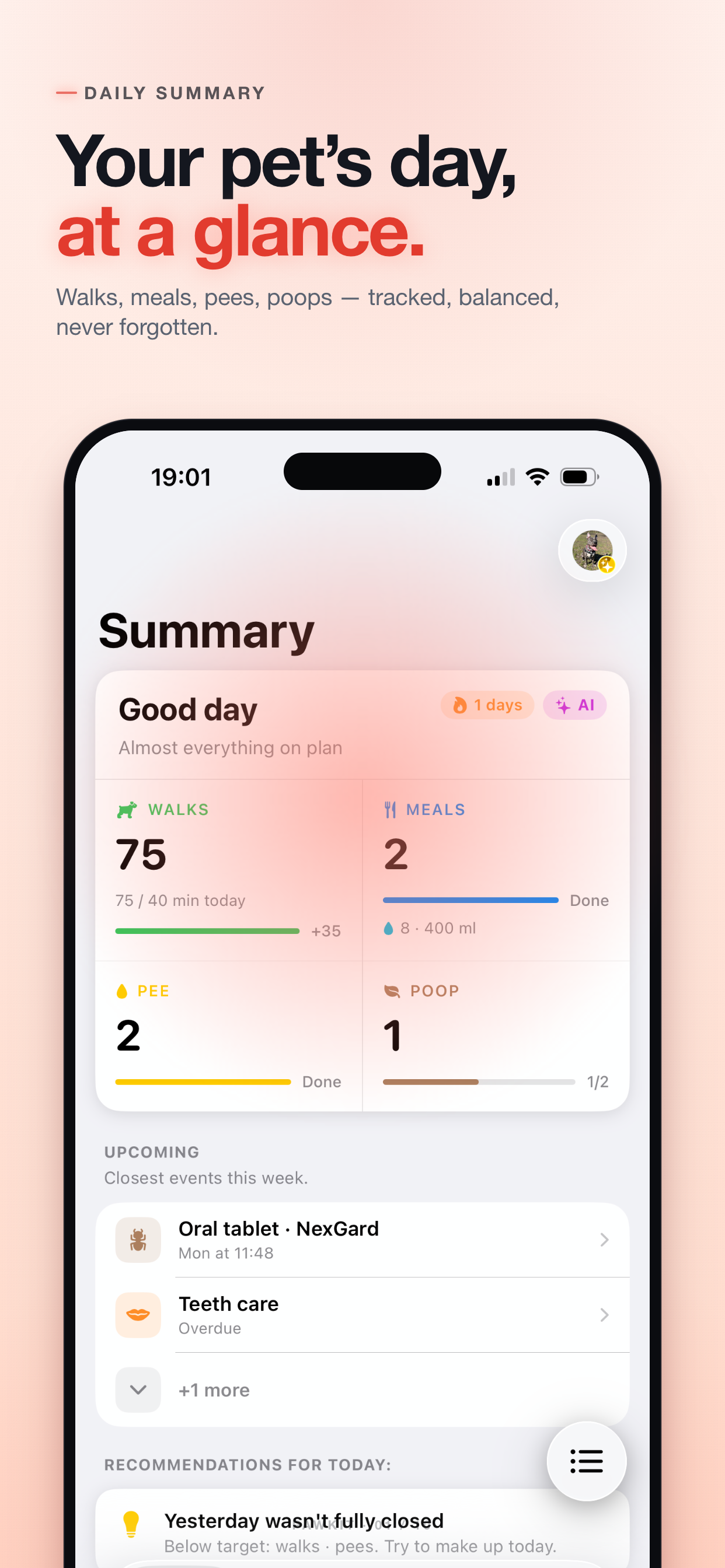 PawKit daily Summary screen