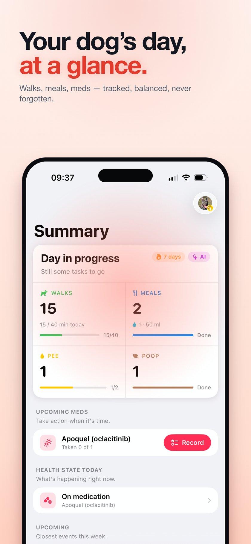 PawKit daily Summary screen — walks, meals, water, weight, health