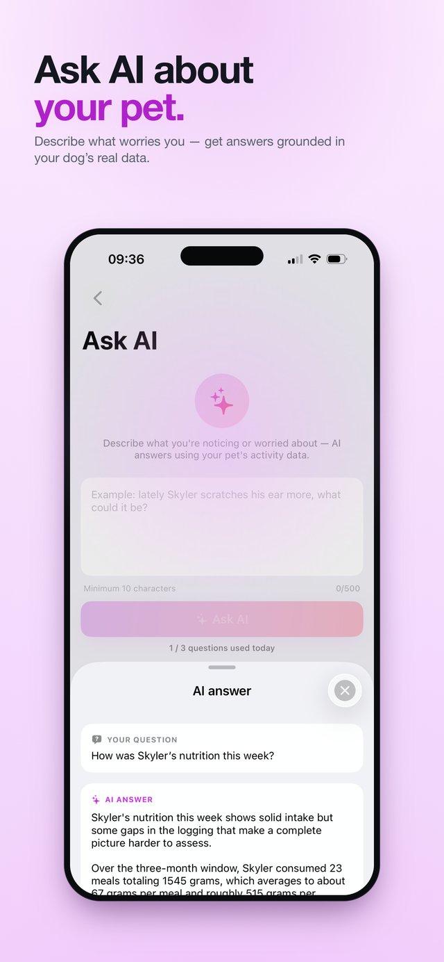 Ask AI about your pet — insights from real data