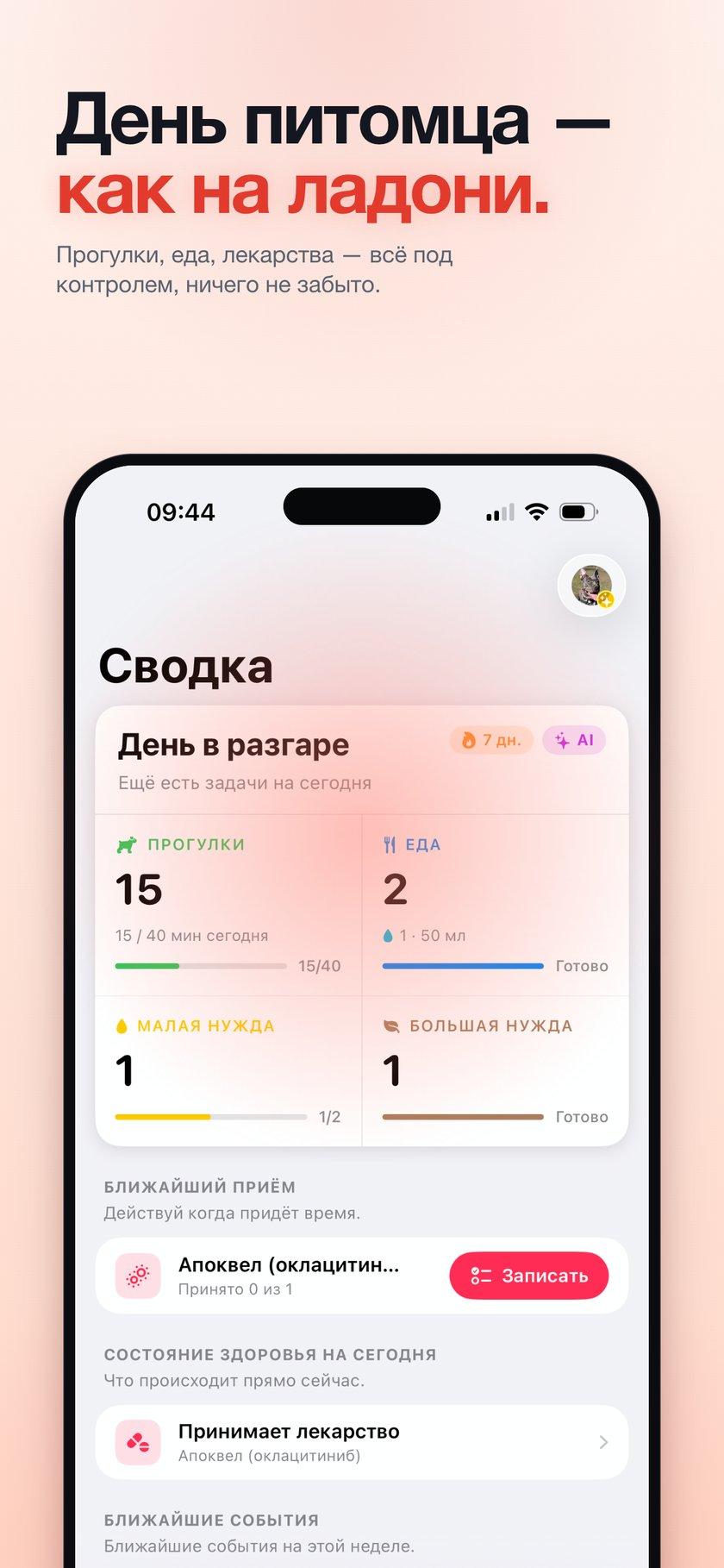 Главный экран PawKit — Сводка дня