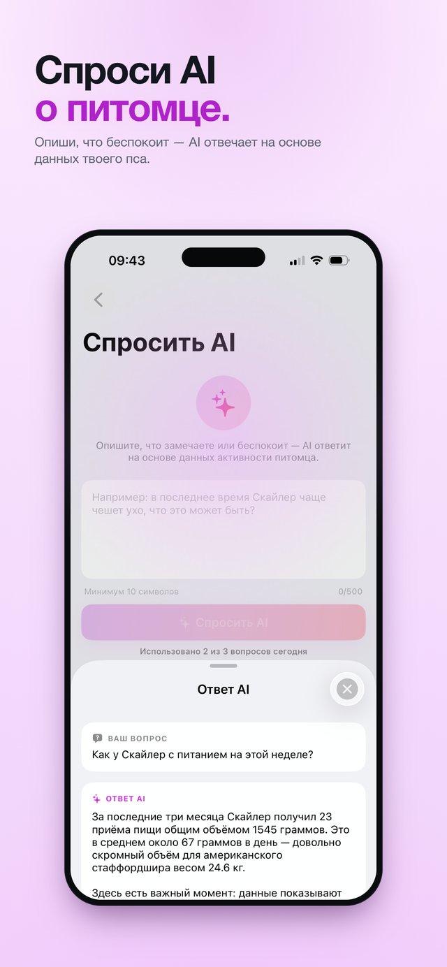 Спросить AI о питомце — выводы на основе данных