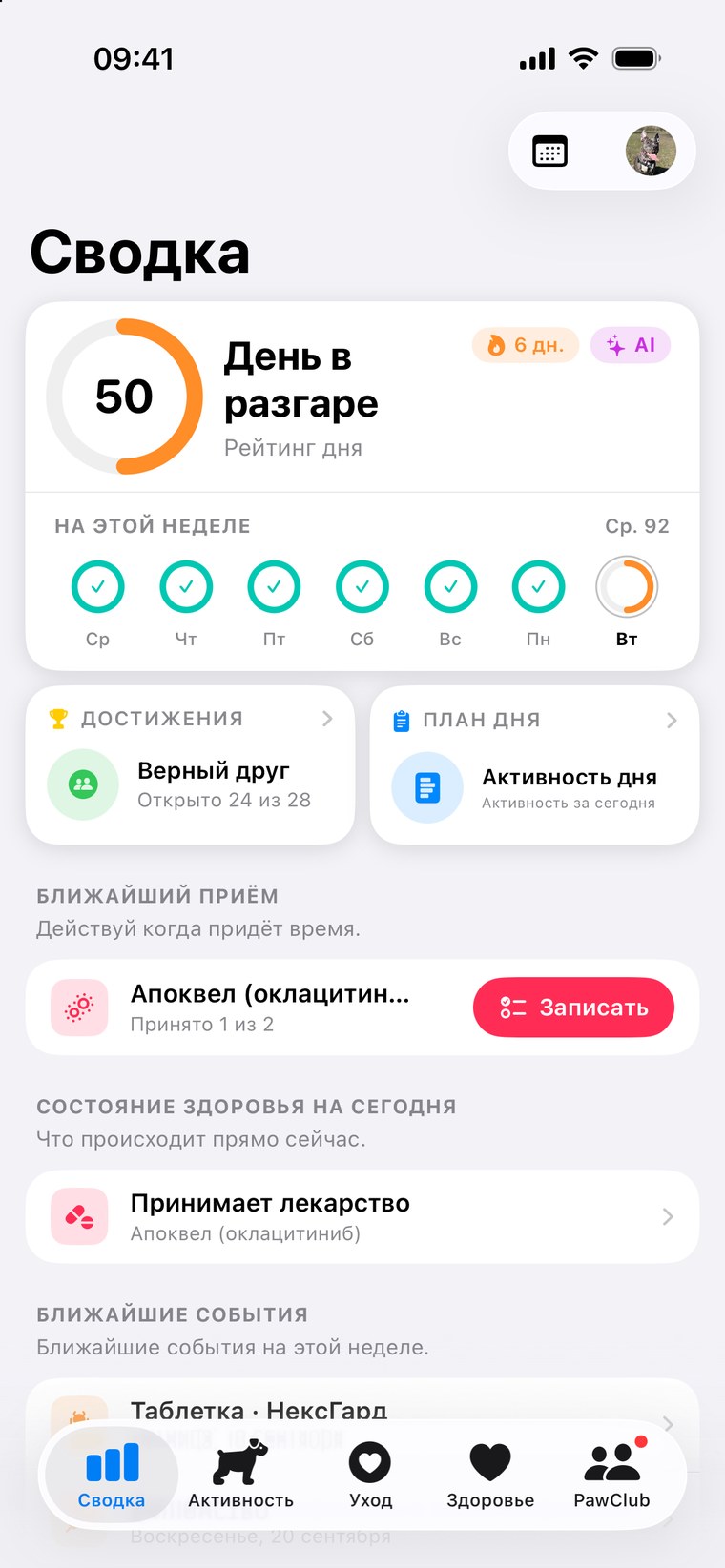 Сводка PawKit — оценка дня, серия, недельные цели и здоровье сегодня