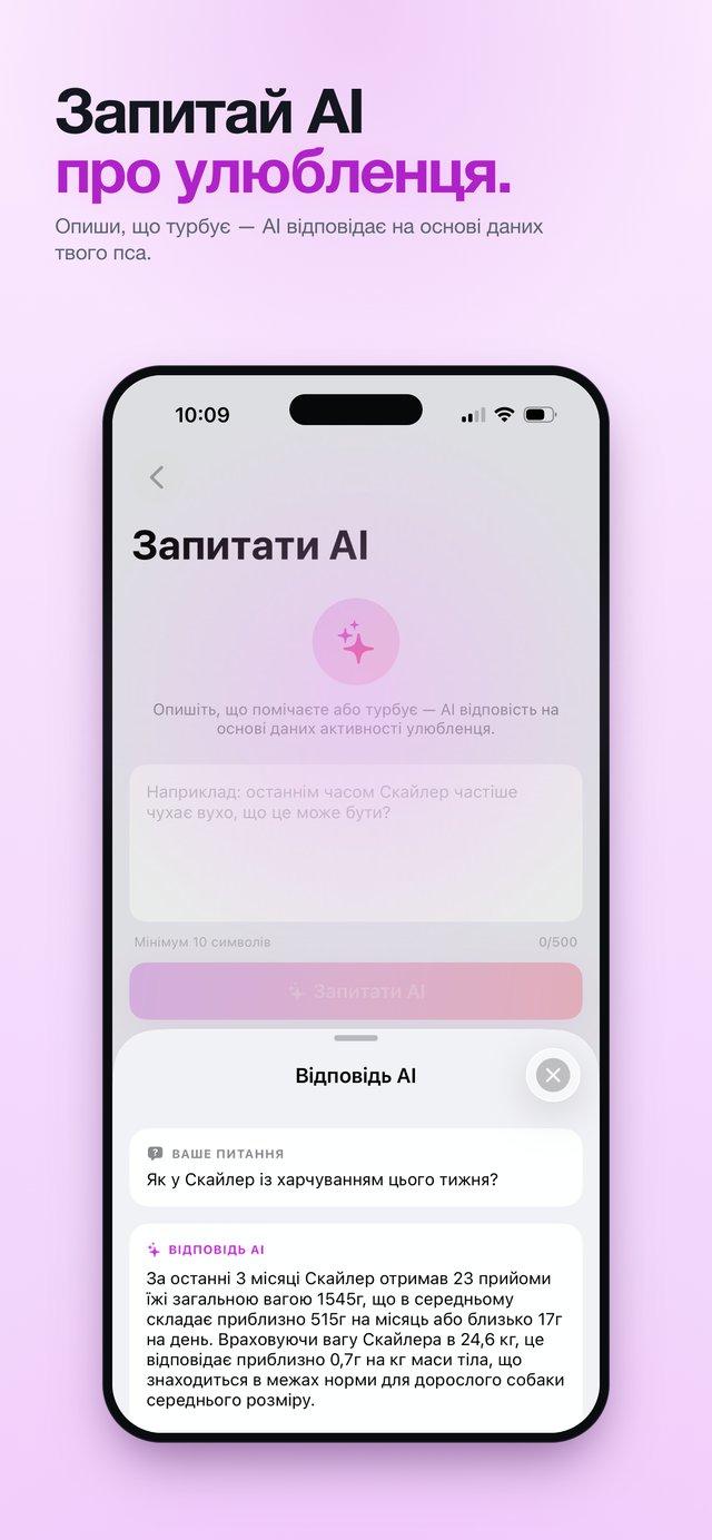 Запитати AI про улюбленця — висновки на основі даних